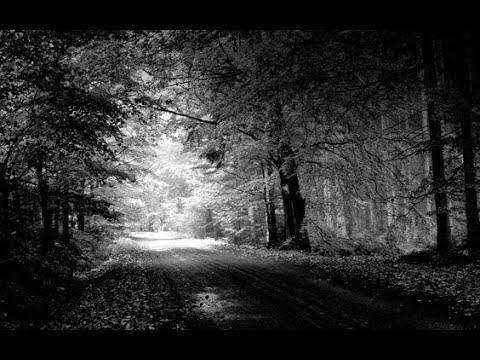 Raymond Lefevre Grand Symphonix Orchestra - La Solitude