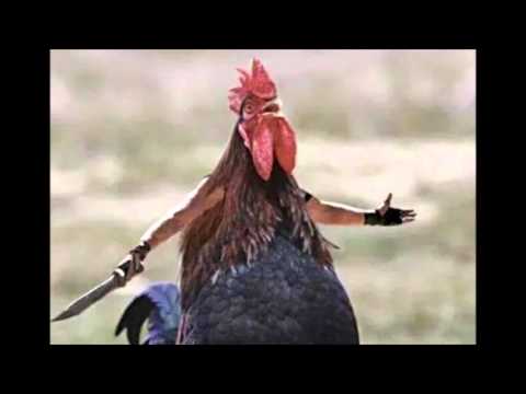 Czerman - Brzuch (Moj Przyjaciel)