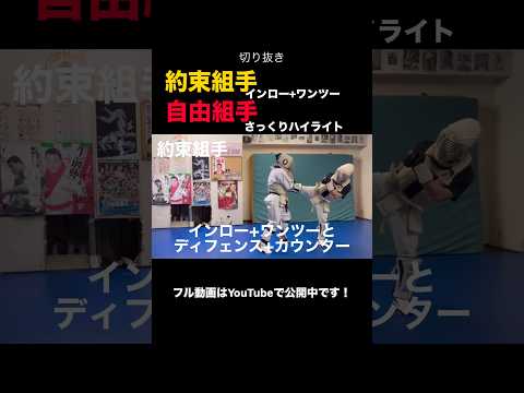 切り抜き 防具付約束組手インローワンツー、自由組手さっくりハイライト