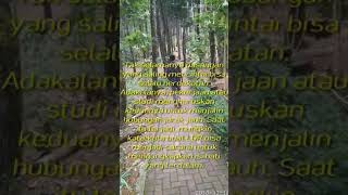 Download lagu Story Wa LDR😕 TERBARU (Menunggu Janji) mp3 Download lagu Story Wa LDR😕 TERBARU (Menunggu Janji) mp3