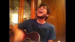 Millencolin - Who&#39;s Laughing Now? (Acoustic Version) Cover by Luiz Corrêa