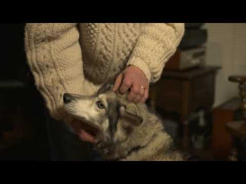 BEATING HEART 2015   Directed by Scott Deathe