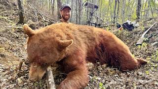 Hunting GIANT Bears in Canada!! {Catch Clean Cook}