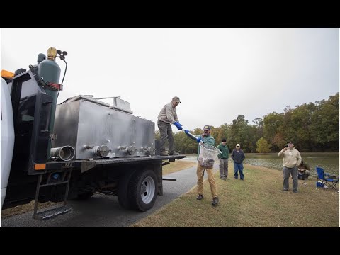 Vdgif Trout Stocking