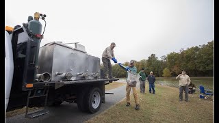 Bringing Trout to the Cities - Virginia's Urban Trout Stocking Program