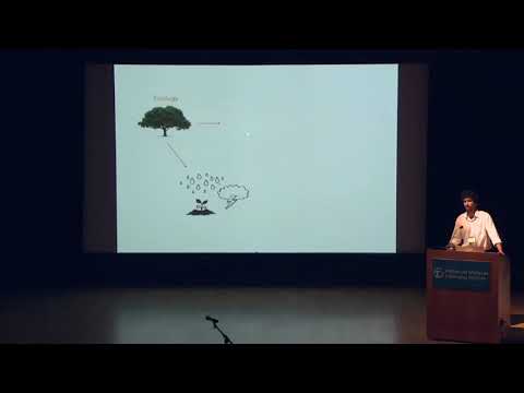 SCCS-NY 2017: Best Talk