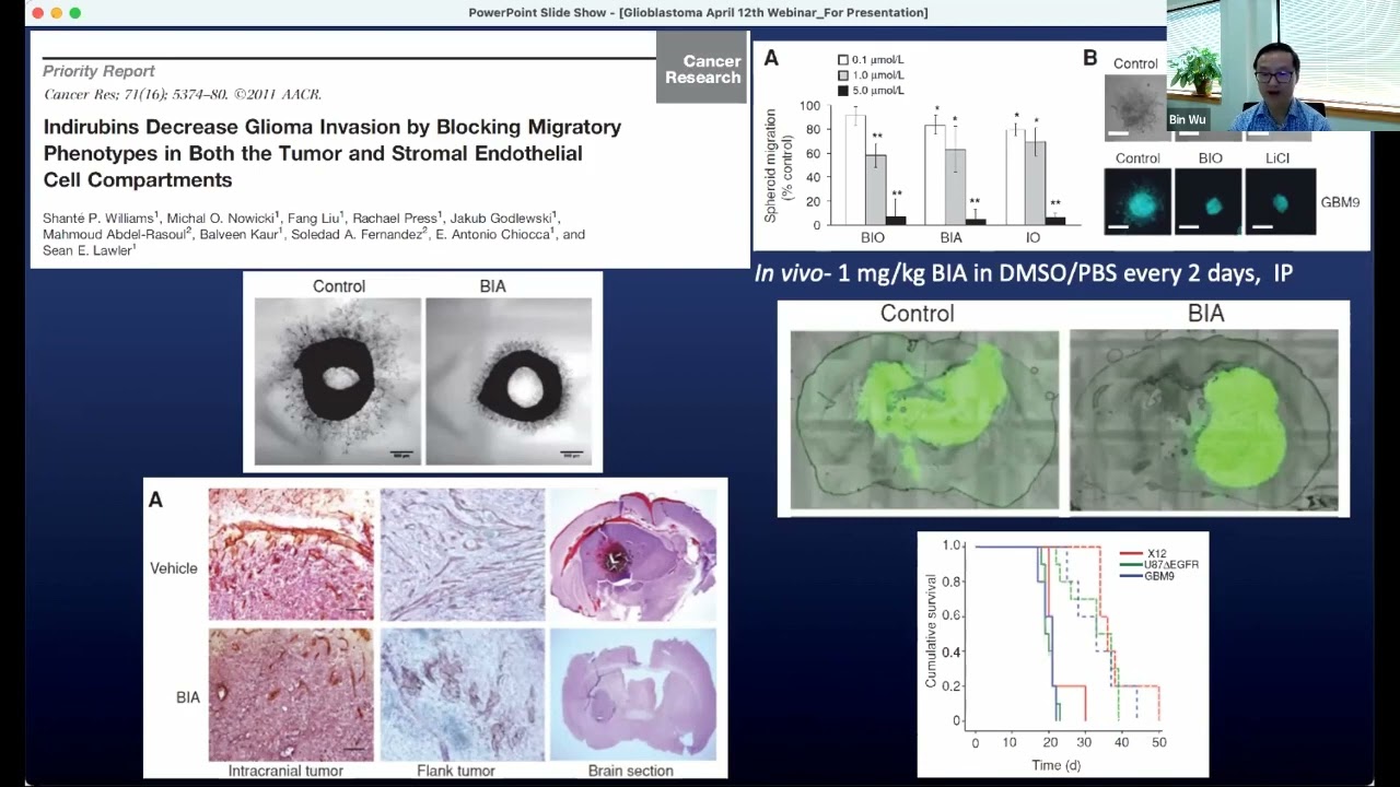 PHOSPHOREX WEBINAR: Nanoparticle Formulation Enables Systemic Delivery of a Ther Agent to Treat GBM