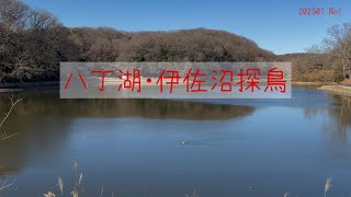 2025 新年 鳥撮り初め