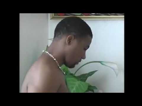 Coup-d'œil sur le Film Vocation (Reginald Poulard)