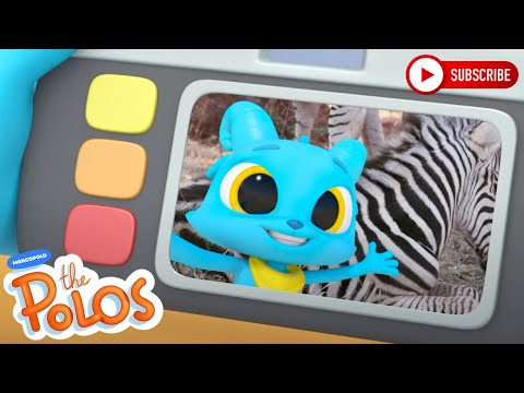 Learning about Zebra's | The Polos | Adventure Learning | Learn At Home - Kingdom Kids Zone, Little Learners - The Polos and MarcoPolo Learning