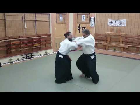 Aikido flexible - Aikido zanshin