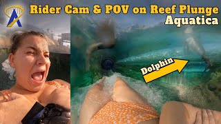 Rider Cam & POV of Reef Plunge at Aquatica Orlando – SeaWorld Orlando