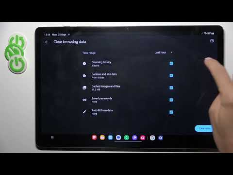 How to Clear Browsing Data in SAMSUNG Galaxy Tab S9+ – Remove Browsing History