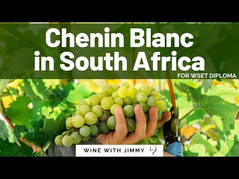 Chenin Blanc in South Africa for WSET Level 4