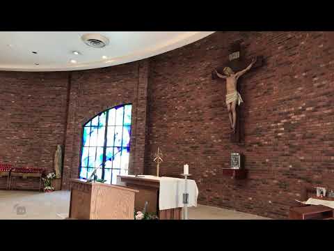 Daily Mass 06/06/2022