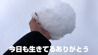 実写【ほぼ中】