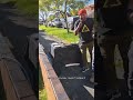 Construction Workers Eat Vegan Food And