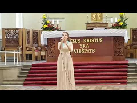 Meidė Šlamaitė - Paukščiai