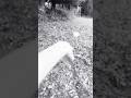 Doing the last dance alone! #lastdance #alone #dance #fyp #famous #viral