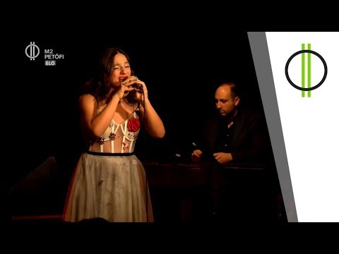 Lemezbemutató duplakoncert - Palya Bea az A38-on