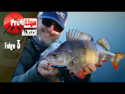 Gregor follows suit! Professional Perch League, Episode 3