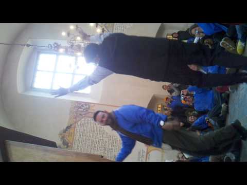 Marcha de la Vida 2011 Ticochin