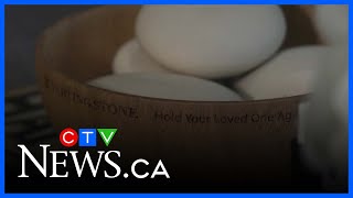 Sask. funeral home offers unique cremation option