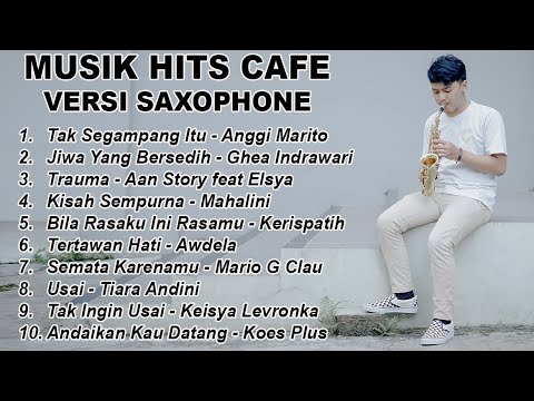 DANI PANDU - Musik Hits Cafe Versi Saxophome