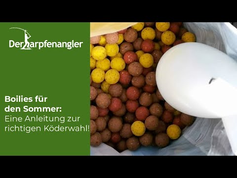 Boilies für den Sommer: Die Anleitung für die richtige Köderwahl!