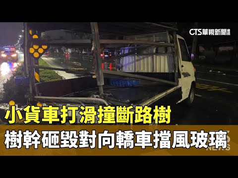小貨車打滑撞斷路樹　樹幹砸毀對向轎車擋風玻璃