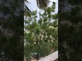 KANUVINDHU Is Live