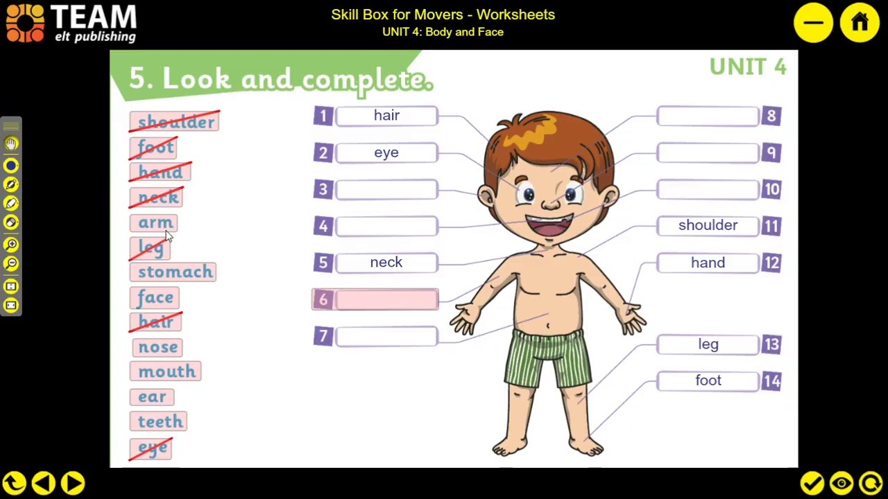 movers #worksheets #bodyandface #skillboxformovers #unit4 #ingilizcekursum #cambridgemovers