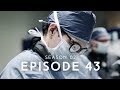 Ep 43 Our New Project
