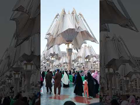 Amazing Scene Of Umbrellas in Masjid-Al-Nabawi @Madina #shorts #youtube  #explore 🇸🇦