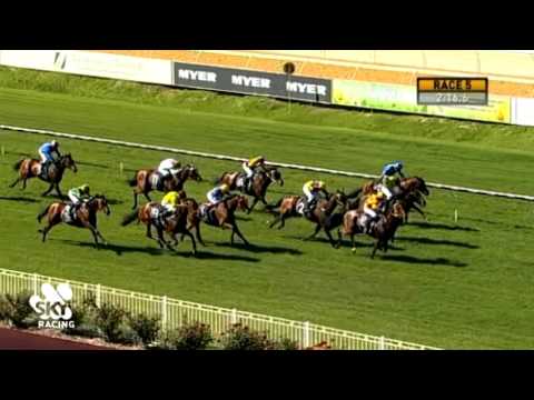 ASCOT 11 NOV 2015, RACE 5 - Danabresa - David Harrison