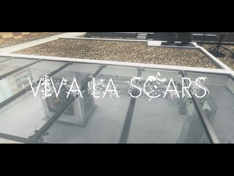 Pur3 Scars - Viva la Scars #1