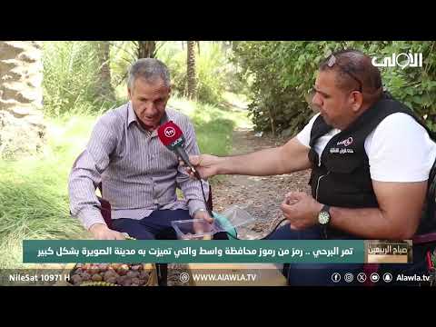 فيديو | تمر البرحي .. رمز من رموز محافظة واسط والتي تميزت به مدينة الصويرة بشكل كبير