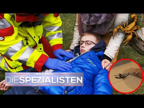 Lebensgefährlicher SKORPIONSTICH 🦂☠ Junge wird mehrfach WIEDERBELEBT 😰 ​| Die Spezialisten | SAT.1