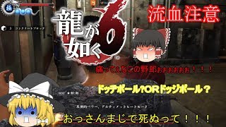 【夏期特別企画】夏だ！ポ○モンだ！ヤクザだ！霊夢のストレス発散   【龍が如く６ 】