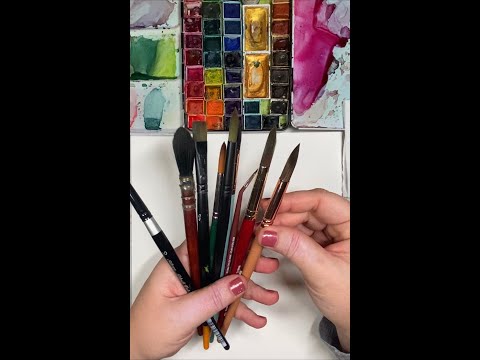 Review of my collection of round brush