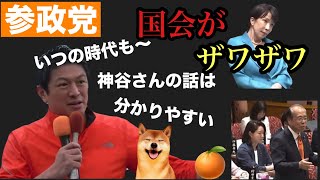 【参政党】国会がザワザワ　神谷さんの話は分かりやすい