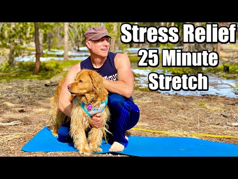 25 min Morning Yoga Stretch for Stress Relief & Flexibility (FULL BODY) Sean Vigue