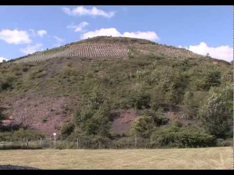 Proizvodnja vina u Francuskoj