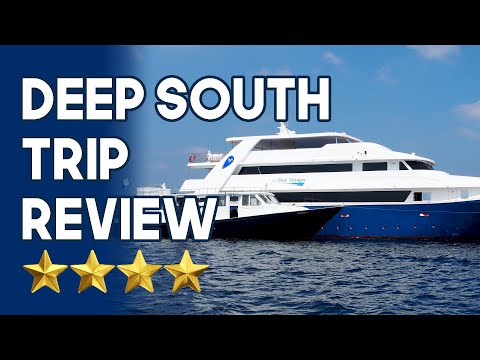 Blue Voyager I Project Shark/Deep South Maldives | Liveaboard Review