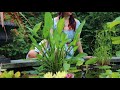 rotting on the vine (Official Music Video)