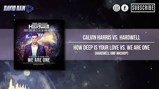 How Deep Is Your Love vs. We Are One (Hardwell UMF Mashup) [David Nam 2022 Remake]