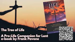 PFL-God Throws the Democrats Into Confusion - Praying for America - March 11, 2025