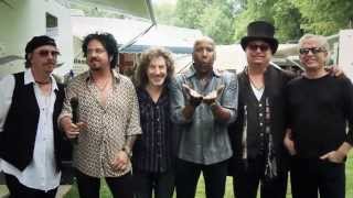 Rock the Park 2013 - London Ontario