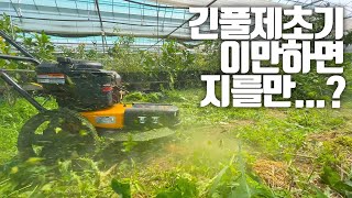 긴풀제초기 당근 했습니다. | 비자주식 | 제초 잘됨 | 자주식 추천 | 폴란프로