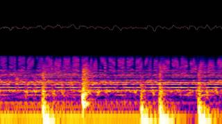 Spectrogram: Snip Snap